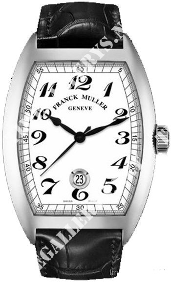 Franck Muller Vintage Curvex Vintage Steel 8880 SC DT VIN