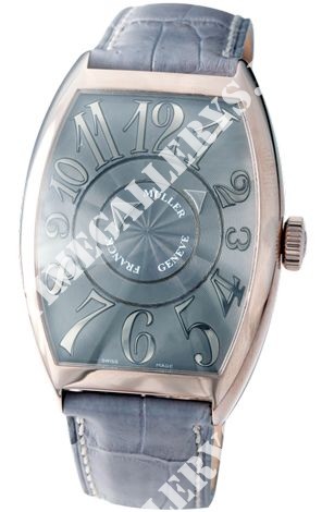 Franck Muller Double Mystery Automatic 8880 DM REL Grey